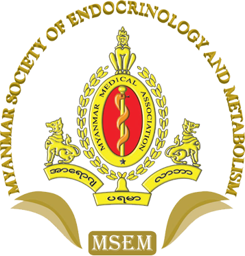 MSEM Logo